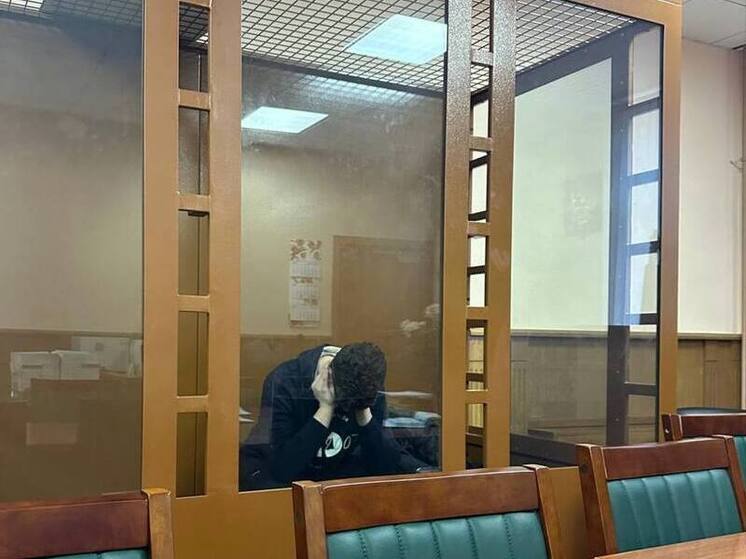 В Петербурге отправили под стражу сообщника похитителей 16-летнего подростка