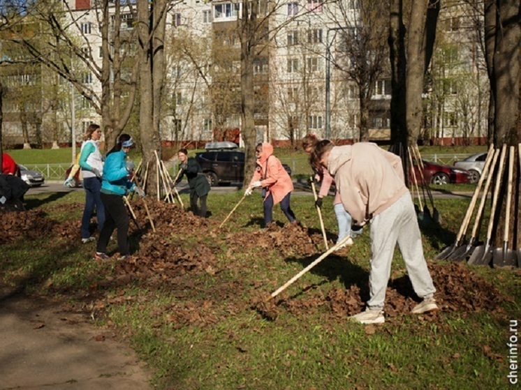 Субботники во Владимире начнутся раньше обычного