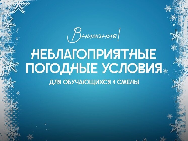 Школьникам Нового Уренгоя снова разрешили остаться дома из-за мороза