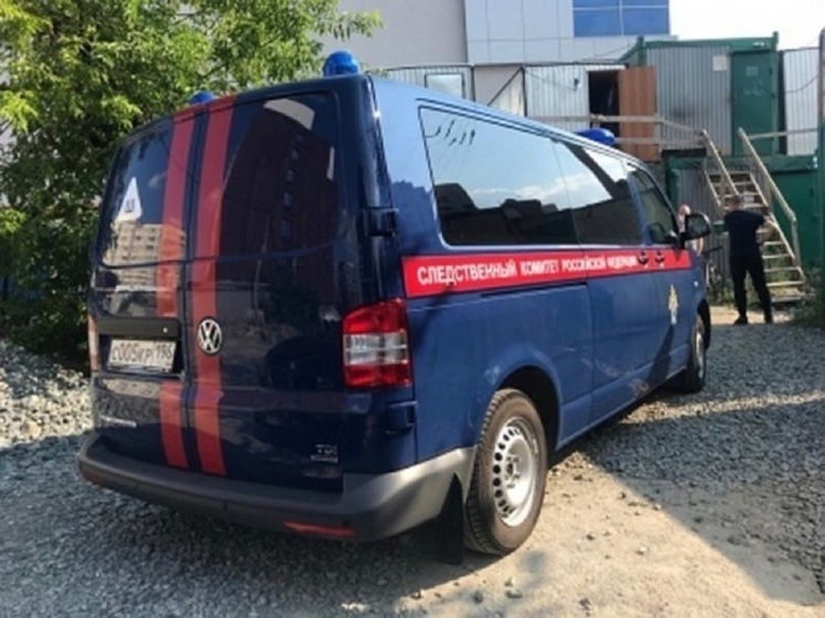 Возбуждено дело из-за нападения мужчины на детей в Екатеринбурге