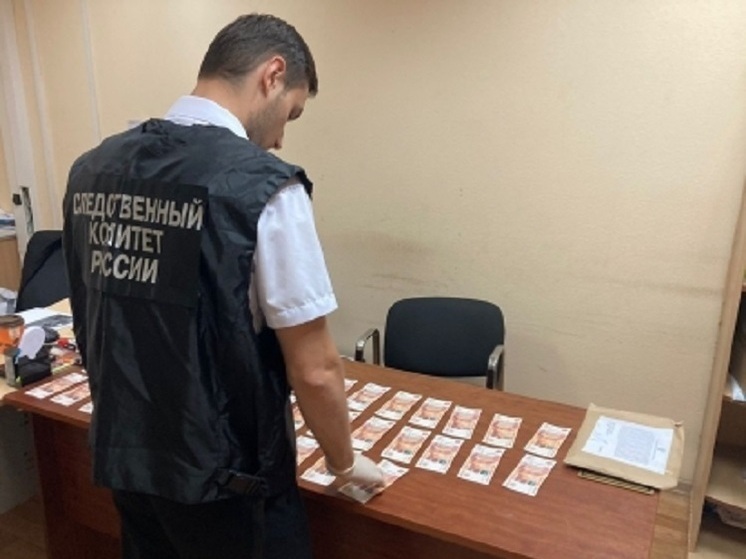 Владимирский суд оштрафовал москвичку на 4 млн рублей за взятку