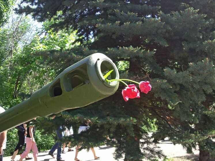 Трое жителей Саратовской области погибли на СВО