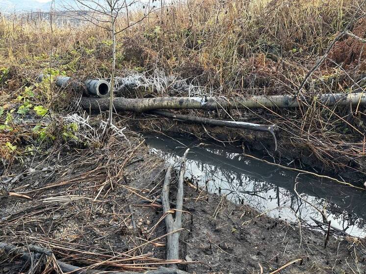 Угольщики в Кузбассе сбрасывали сточные воды с карьера на сельхозземли