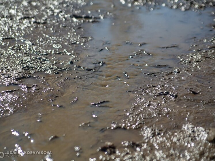 Жители Кааламо более 15 лет пьют загрязненную воду