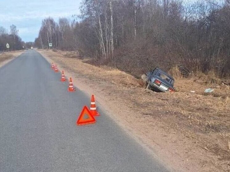 Пьяный водитель пострадал после опрокидывания машины в Демянском округе