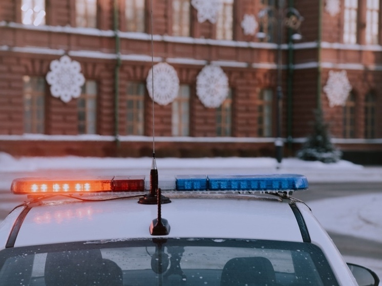 Появились подробности гибели девушки на Коммунальном мосту в Томске