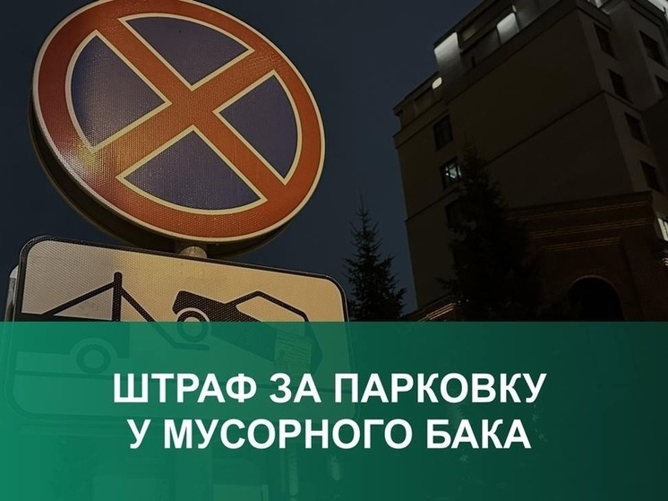 Грозят ли псковичам штрафы за парковку у мусорных баков