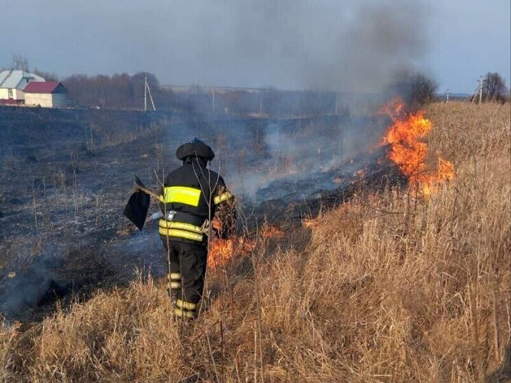 Больше 5 тыс. «квадратов» местности выгорели в Липецкой области за сутки