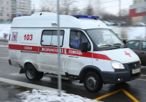 Свою собаку, которая едва не была повешена в лифте, спасала утром 10 марта жительница одного из городов на севере Подмосковья