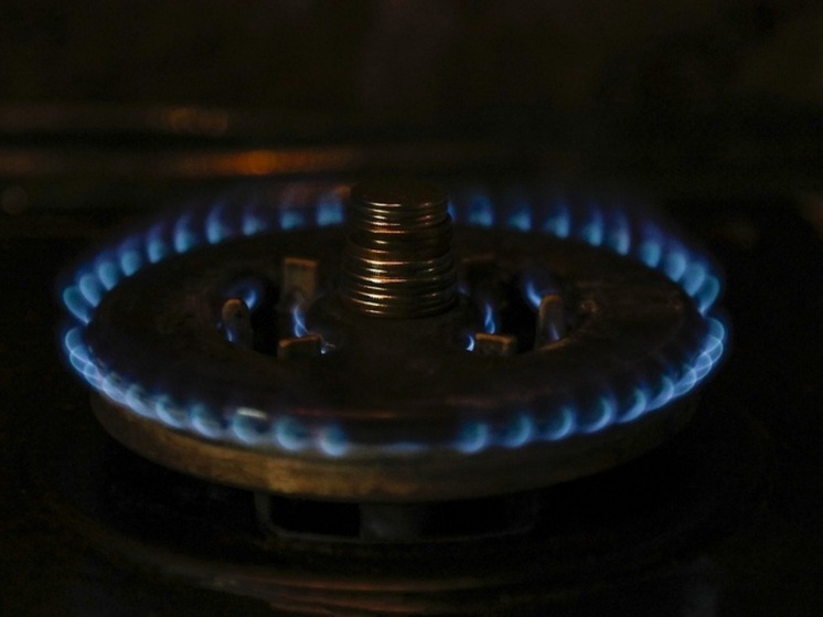 В Туле УК «Арсенал» оставила дом без газа на неделю