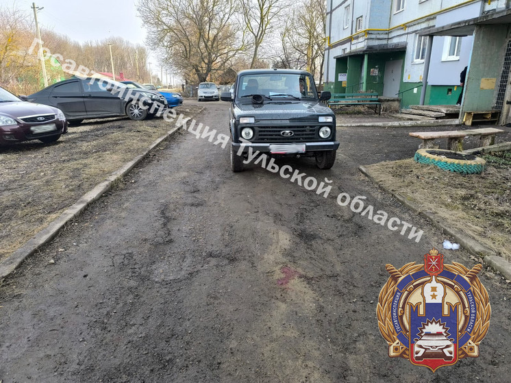 Пожилая автоледи на «Ниве» сбила мужчину во дворе под Тулой