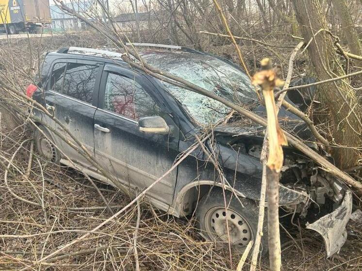 Под Рязанью автомобиль Geely врезался в дерево, водитель погиб