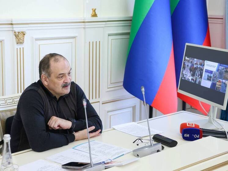 Меликов раскритиковал работу АПИ Дагестана