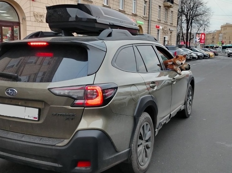 Грузы могут приезжать быстрее: Авито Услуги внедряют новую технологию в свой сервис