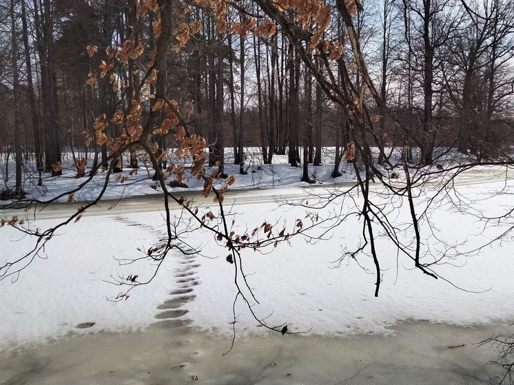 Первая декада марта в Марий Эл стала на 8,7 градуса теплее нормы