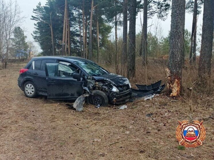 В Тверской области Nissan резко ускорился и въехал в дерево