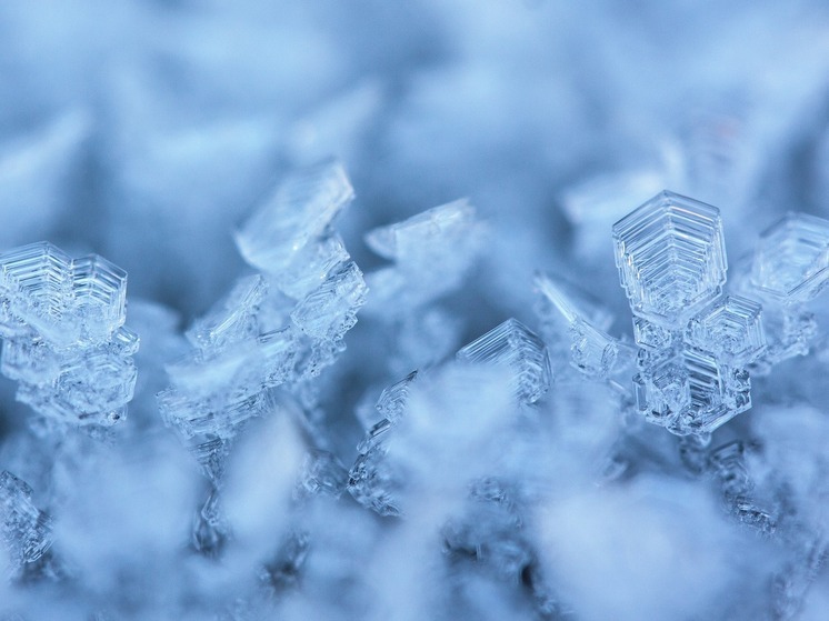 Новый холодильник на 500 тонн запустили в НАО