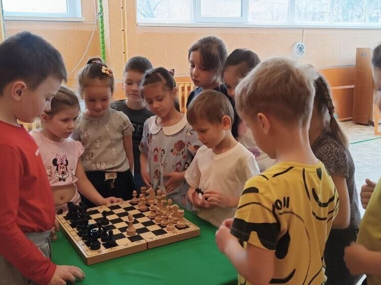 В детсадах Запорожской области проходят мастер-классы по шахматам