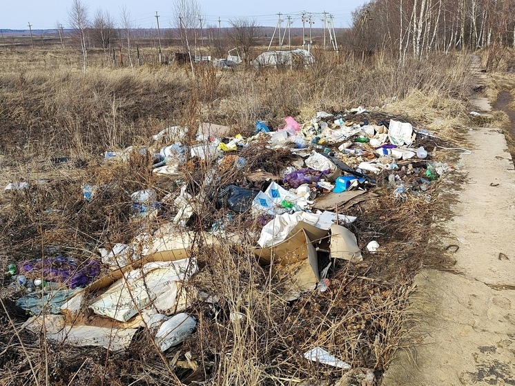 В Воротынске собственники гаражного кооператива «Березка» продолжают создавать несанкционированные свалки