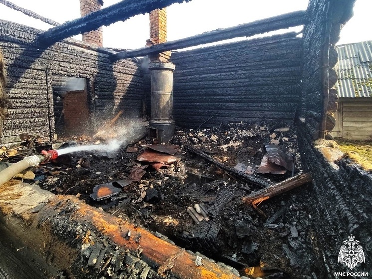 Подробности пожара в Руднянском районе