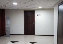  

Зумеры (рожденные с 1997 по 2012 год) – дети цифровой эпохи