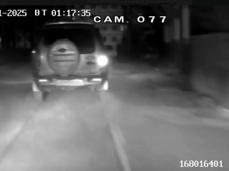 Нетрезвого водителя задержали в Тулуне с погоней и стрельбой