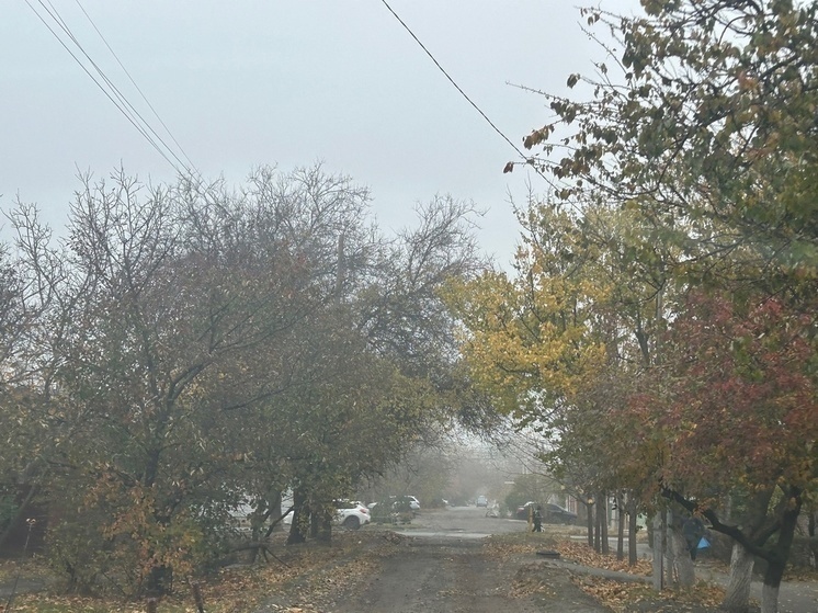 Водителей предупредили о тумане в Ростовской области 12 марта