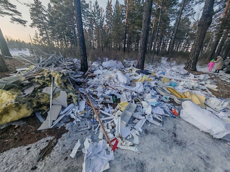 Шесть стихийных свалок нашли в районе Читы