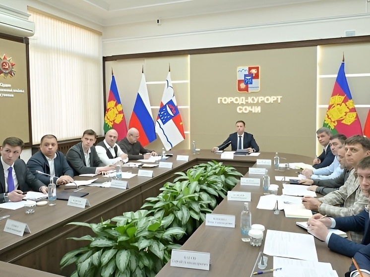 В Сочи проверят подземные и наземные переходы перед началом летнего сезона