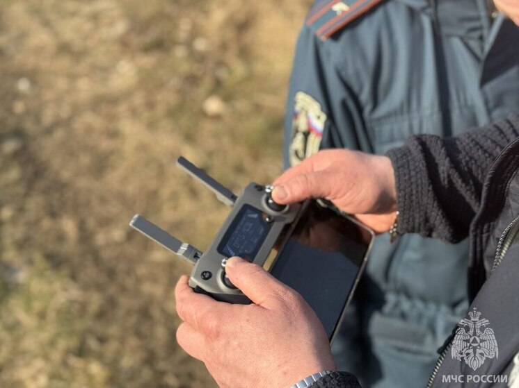 В Калининградской области поджигателей травы будут искать с помощью квадрокоптеров