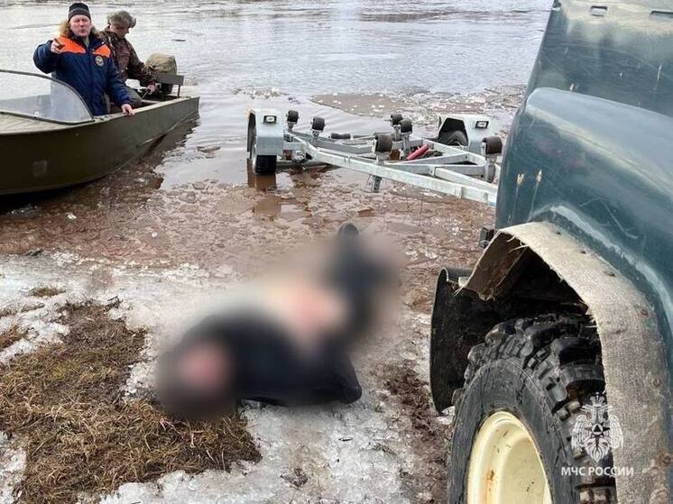 С начала года в водоемах Новгородской области утонули четыре человека