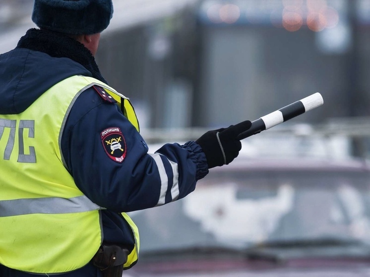 В Тамбовской области проверят, все ли водители выехали на дорогу с правами