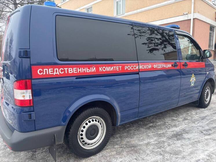 Еще одно уголовное дело завели по факту поножовщины в школе Нижнего
