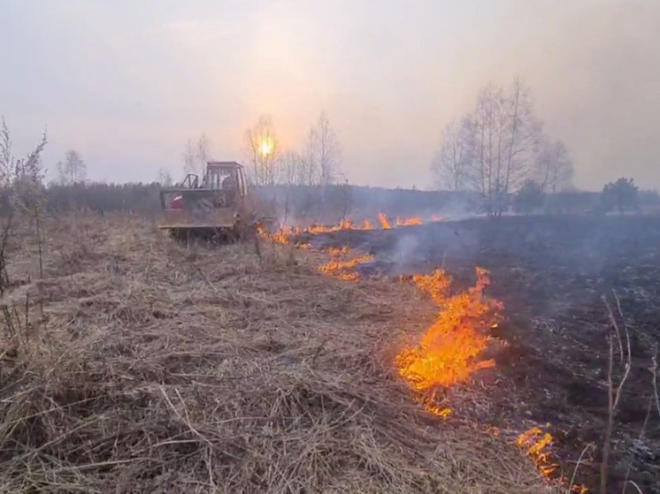 Лесной пожар предотвратили огнеборцы в Орехово-Зуевском округе