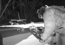 Сегодня уже трудно представить театр военных действий без дронов