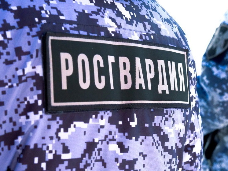 В Марий Эл росгвардейцы задержали гражданина, подозреваемого в хищении товара из супермаркета