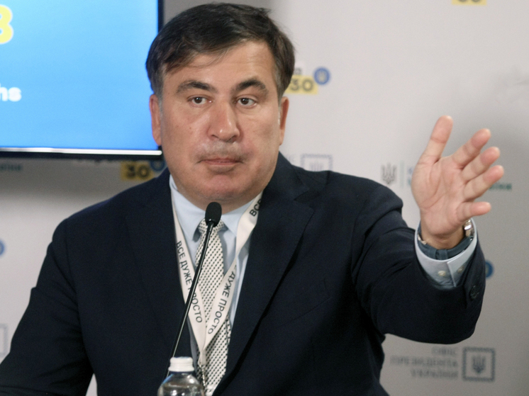 Экс-президент Грузии назвал свои косметические процедуры и отдых в отелях официальными расходами