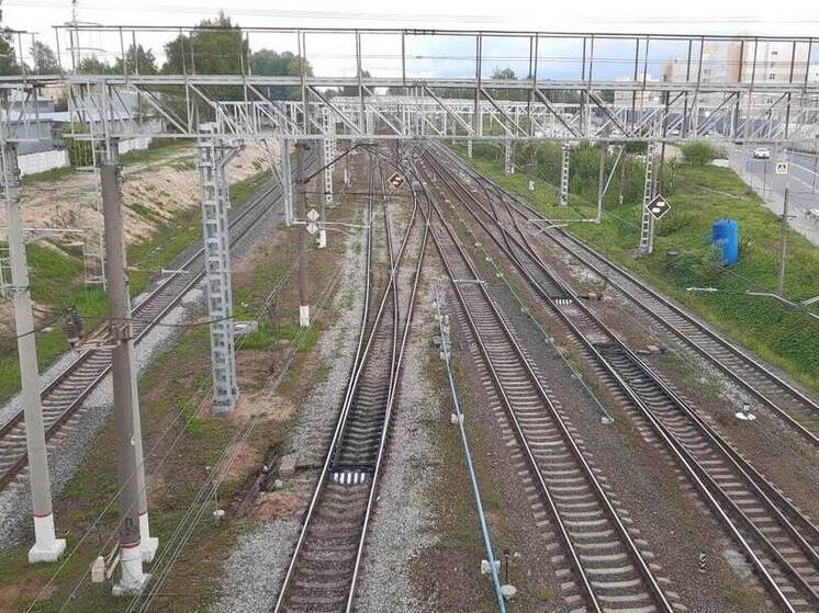 Железная дорога в Новгородской области стала перевозить больше грузов