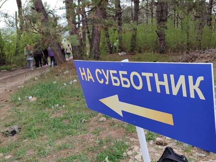 15 марта на Ставрополье пройдет большой субботник