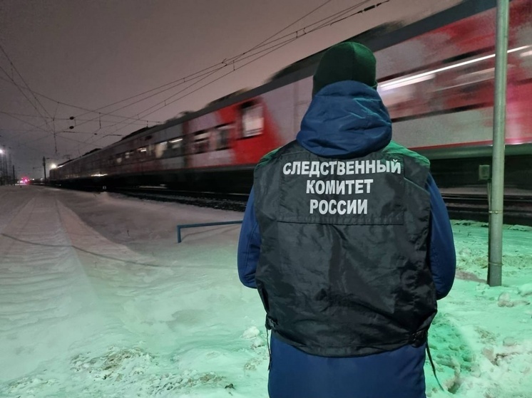 В Нижегородской обл. выясняют обстоятельства гибели на ж/д путях