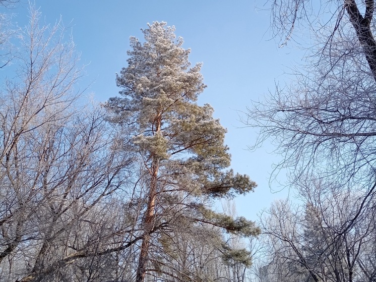 Что нельзя делать саратовцам 13 марта