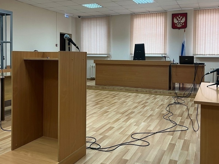 Бывшая глава администрации Вельского района осуждена за присвоение бюджетных средств