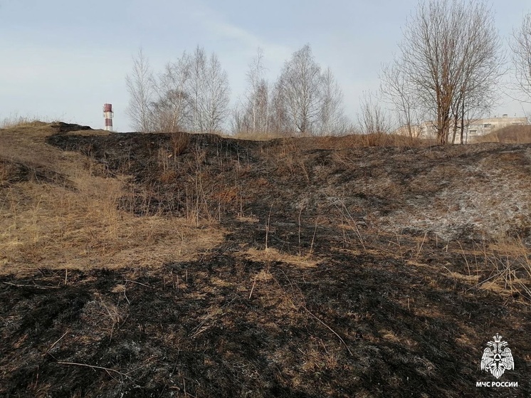 Третий день подряд в Костромской области происходят травяные пожары