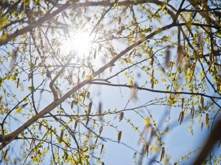 Астраханцам обещают резкое потепление до +20 градусов