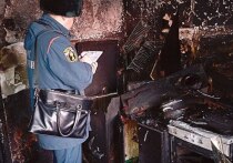 В поселке Врангель Находкинского городского округа произошел пожар, в результате которого погибла 66-летняя женщина