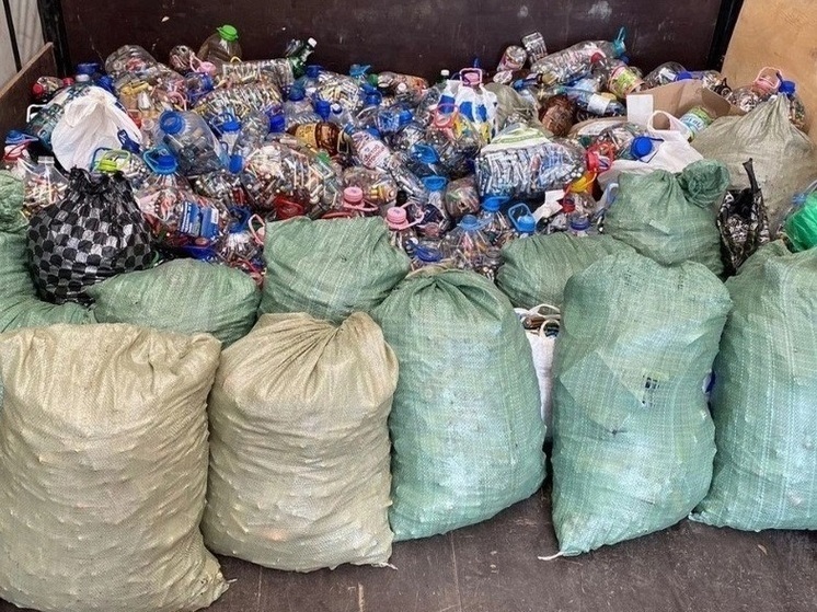 Рекордные 23,5 тонны батареек собрали для переработки в Поморье в прошлом году