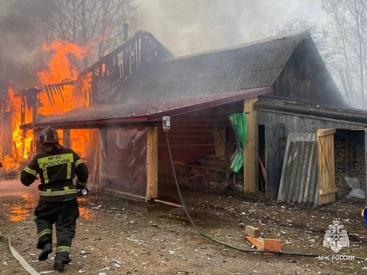 В Валдайском районе огонь спалил жилой дом, оставив в целости дрова