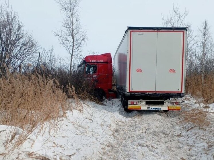 Под Новосибирском водитель фуры потерял сознание, съехал в кювет и погиб