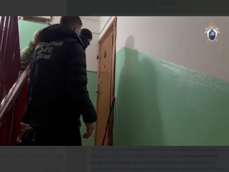 В Приморье разоблачена схема взяток за растаможку машин — фигурантка из Уссурийска