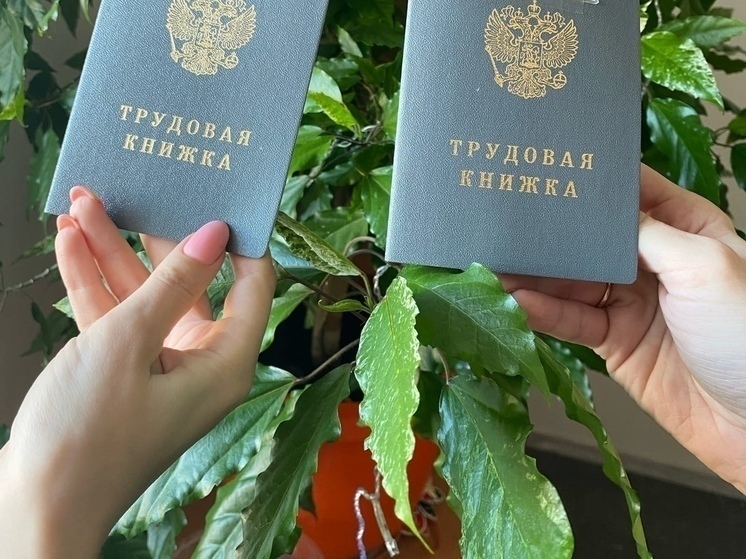 hh.ru: Спрос на инженеров-энергетиков в Рязанской области вырос на треть